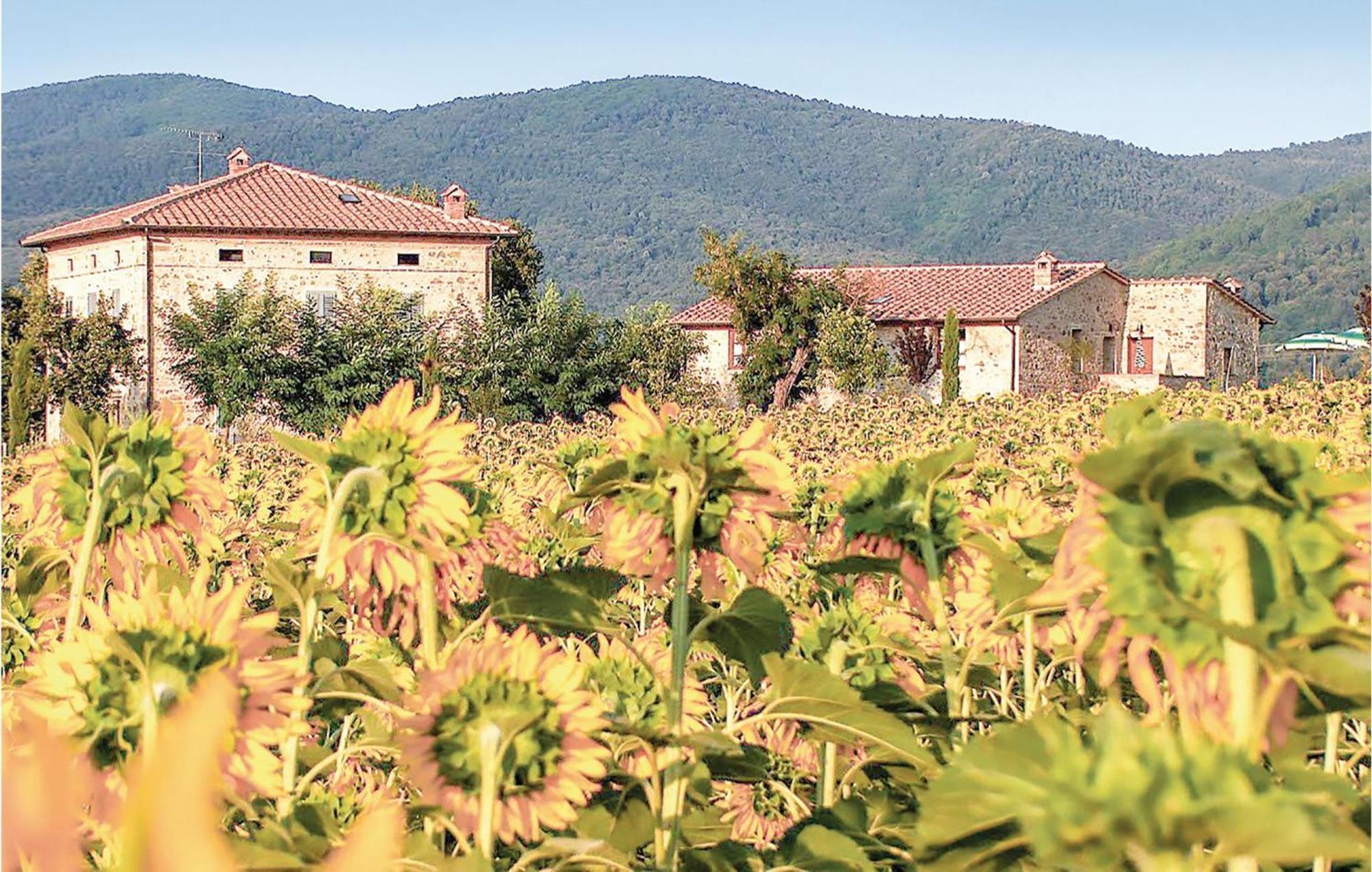Tulipano Apartman Pievescola Kültér fotó